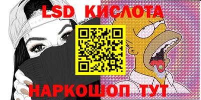 тгк Новодвинск