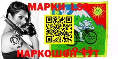 тгк Новодвинск