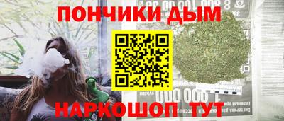 тгк Новодвинск