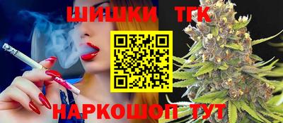 тгк Новодвинск