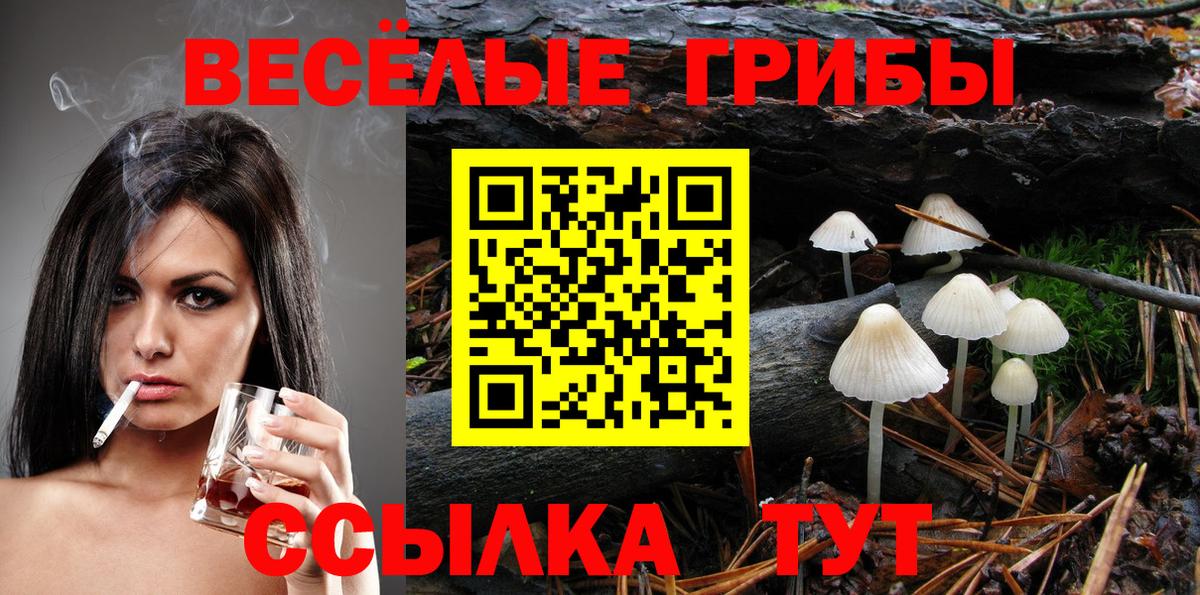 Галлюциногенные грибы Cubensis Советск