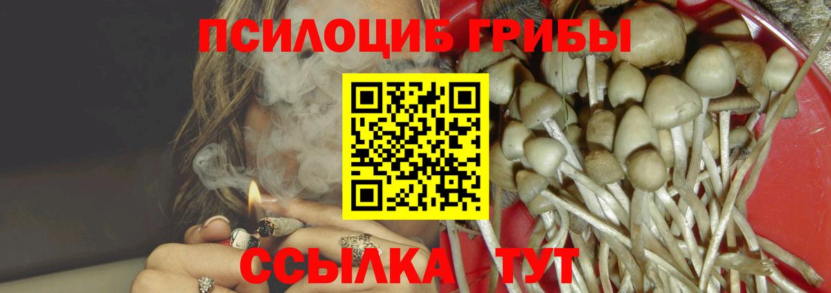 Советск  Псилоцибиновые грибы мухоморы  Вход с VPN 